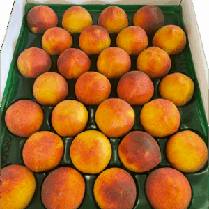 Gift Box of Larger Select Peaches