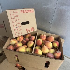 Half a Box (12.5 lb) of 2.5" Peaches